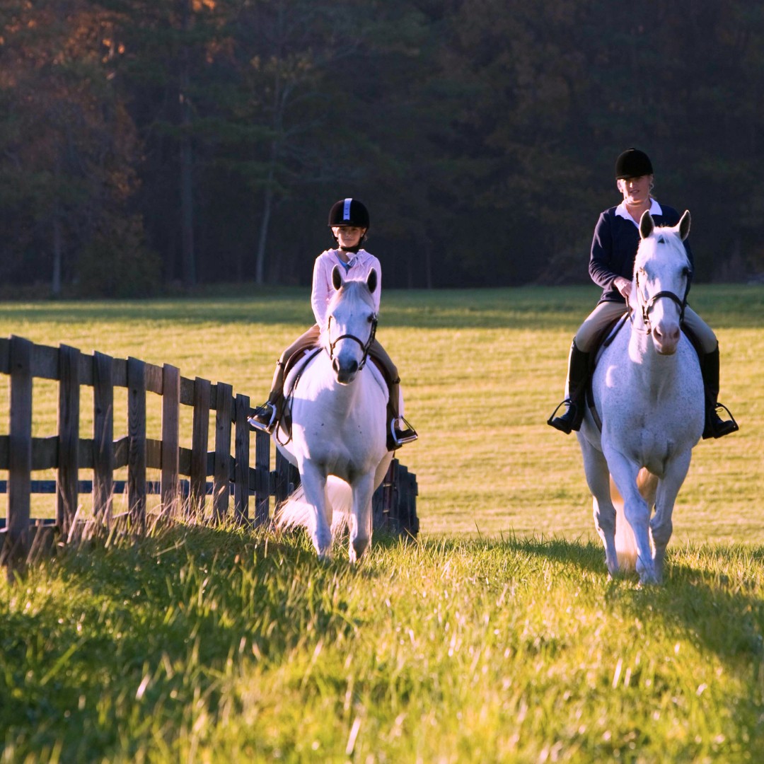 Booking Co Wheels car to go pony trekking in England